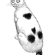 A portrait of Junji Ito’s creepy pet cat, Yon.